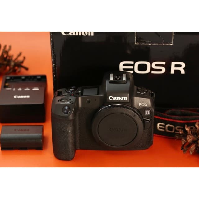Canon EOS R Body Only Fullset B1169 Standar