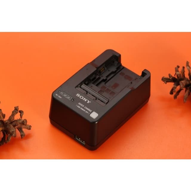 Charger Sony ACC BC-QM1 Unit Only A376 Standar